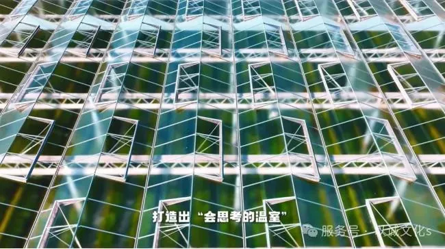 凯盛浩丰智慧农业基地 配图5
